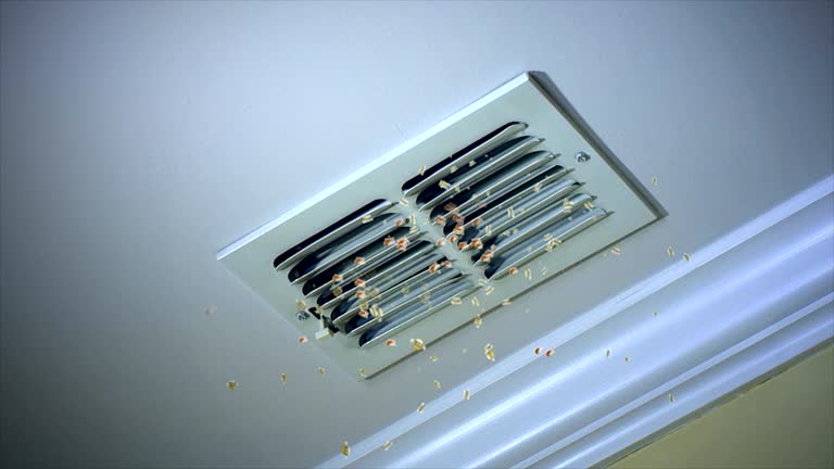 Best Affordable HVAC Duct Cleaning  in Anna, OH